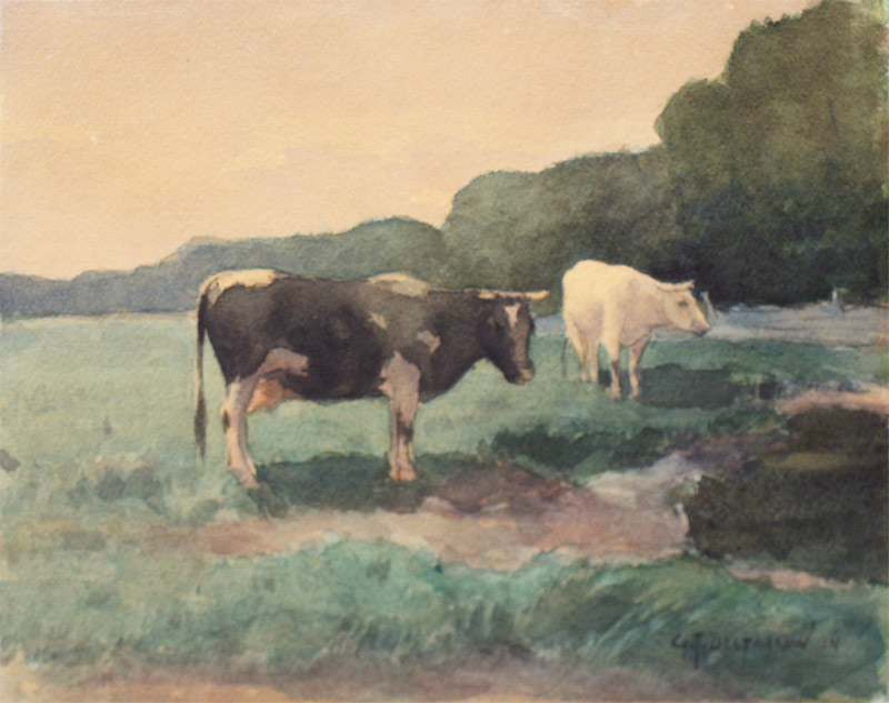 Koeien in het landschap